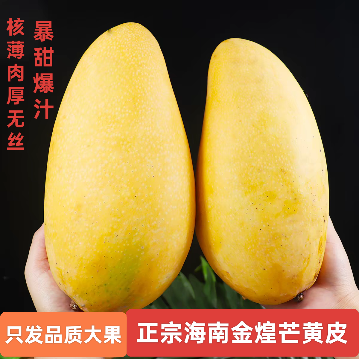 正宗海南金煌芒黄皮芒果新鲜一级特大果三亚水仙芒甜心芒现摘现发