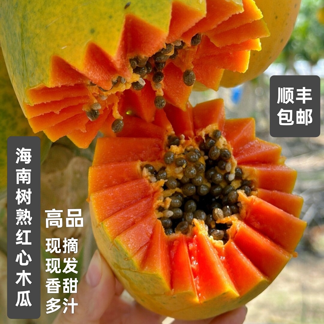 海南树上熟红心木瓜新鲜孕妇水果现摘现发当季大果