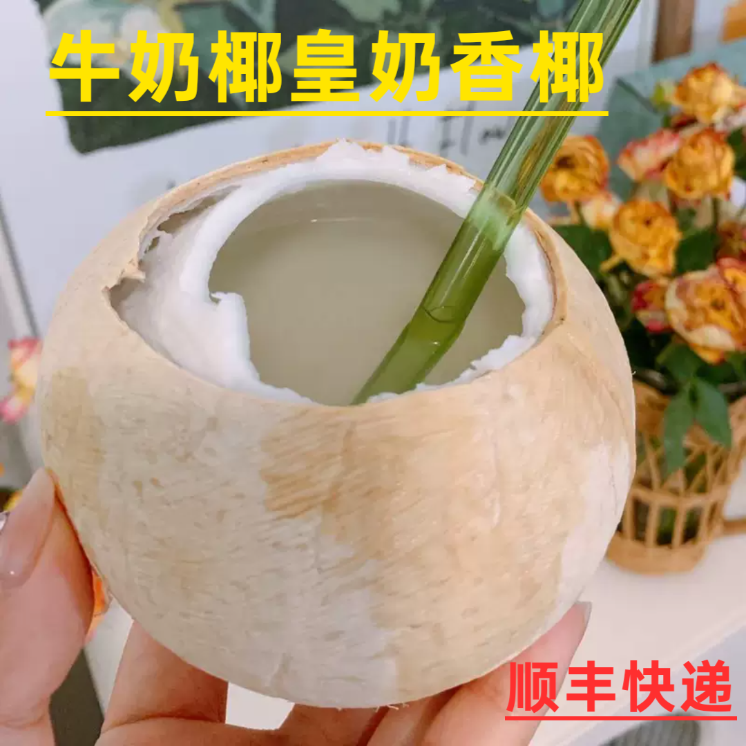 泰国牛奶椰皇椰子新鲜小奶椰顺丰孕妇水果现摘现发当季汁多产地