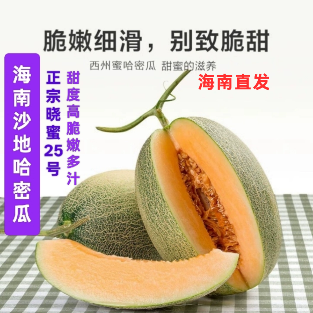 海南沙地西洲哈密瓜晓蜜25号三亚蜜瓜脆甜新鲜水果当季现摘现发,水产肉类/新鲜蔬果/熟食,哈密瓜,淘宝优惠券,粉丝福利购,淘宝优惠卷