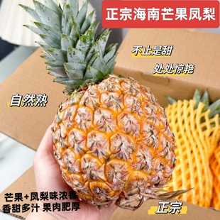 正宗海南树熟芒果凤梨台农23号大果当季新鲜水果产地直销现摘顺丰