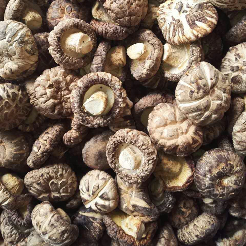 向老伯香菇干货商用散装500g