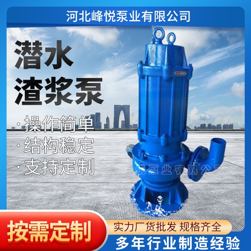 立式潜水渣浆泵NSQ80-63-9矿用耐磨渣浆抽沙泵50ZJQ25船用抽砂泵