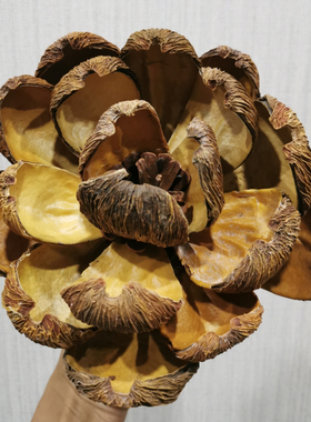 油画莲手工干花真花果壳花苞油画帝王牡丹小众永生花花苞禅意装饰