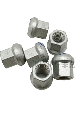 适用奇瑞开瑞优优EV优劲海豚江豚EV小象X3X5轮胎螺母车轮螺帽螺丝