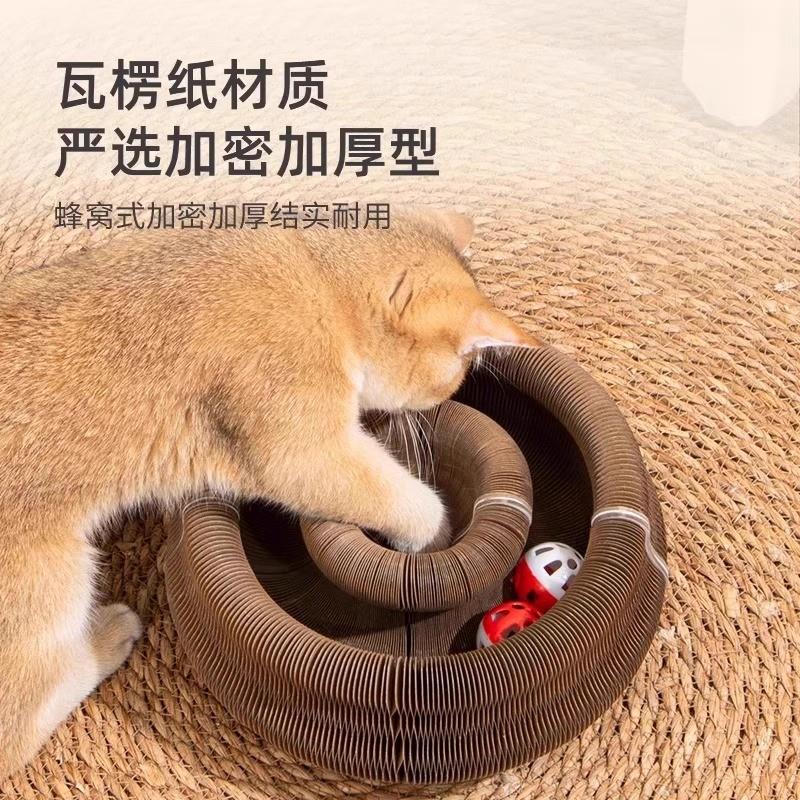 The fiddle cat cant get rid of the scratchy cat toy. Its f