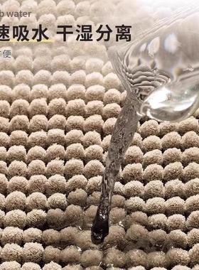 Water-absorbing carpets in front of bathrooms, toilet-proof