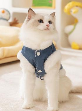 The cats warm and hairless in winter and the cowboys styli