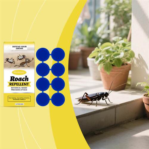 Roach bait. Roach decoy. Roach decoy in the kitchen living r