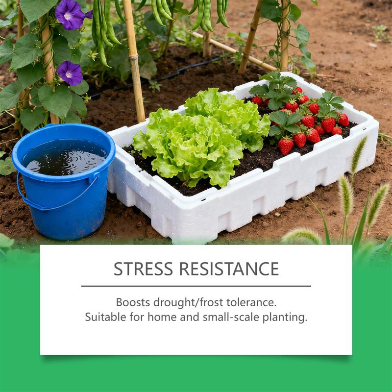 Vegetables growing fertilizer, indoor orchard cabbage nutrit