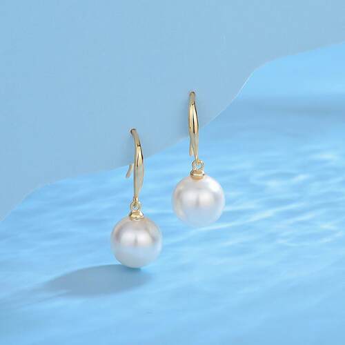 Van Hans S925 silver-faced earring hooks with classic earri