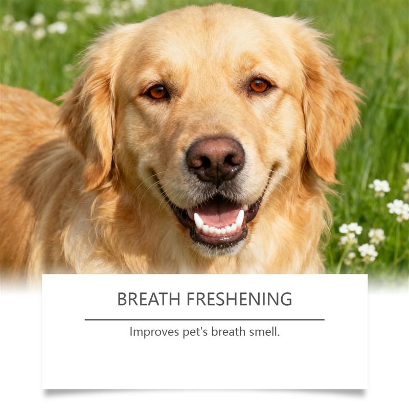 Puppet tooth cleaning powder, warm and protective pet oral h