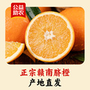 公益助农 单果 赣南脐橙 斤装 60mm