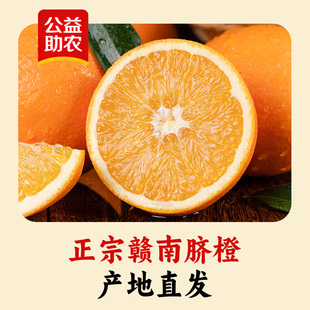 公益助农 单果 赣南脐橙 斤装 60mm