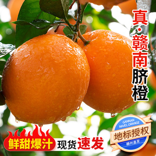 正宗江西赣南脐橙新鲜大果现摘手剥橙寻乌产地直供时令水果甜橙子