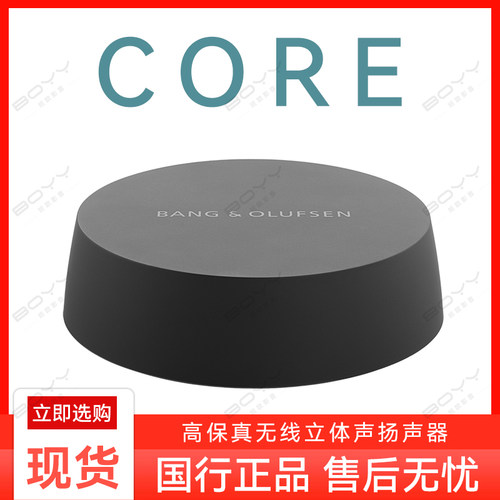 B&O壁挂型塑料无线扬声器系统