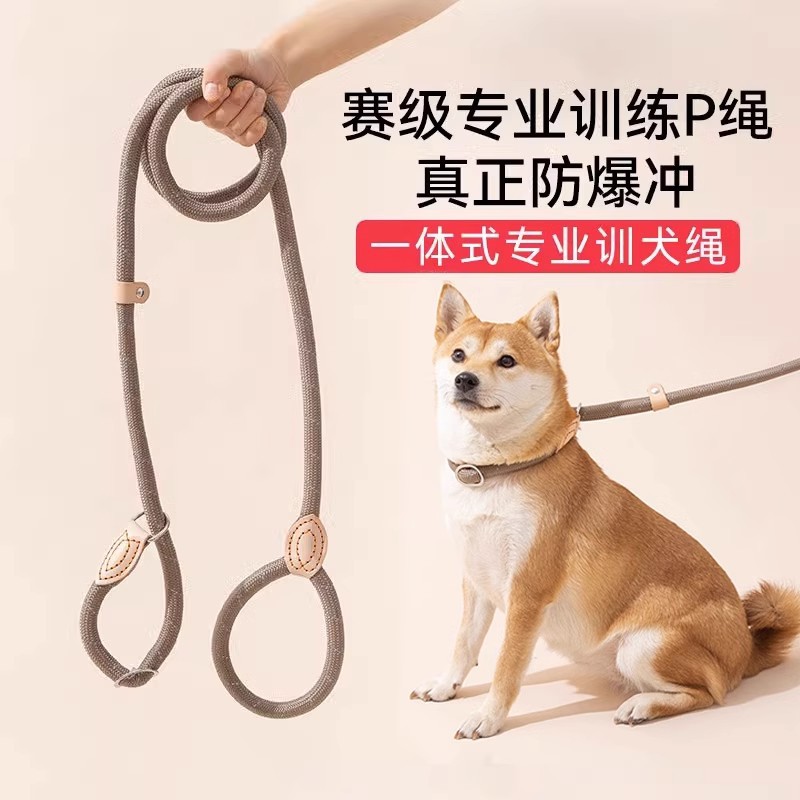 栓狗绳子防挣脱不勒脖防爆冲遛狗牵引绳防挣脱狗链子中大型犬防