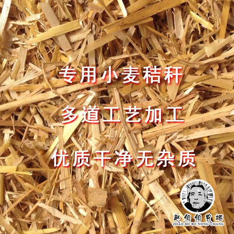 小麦秸秆 装饰装修专用绿色无污染麦秸 干净干货无杂质优500克