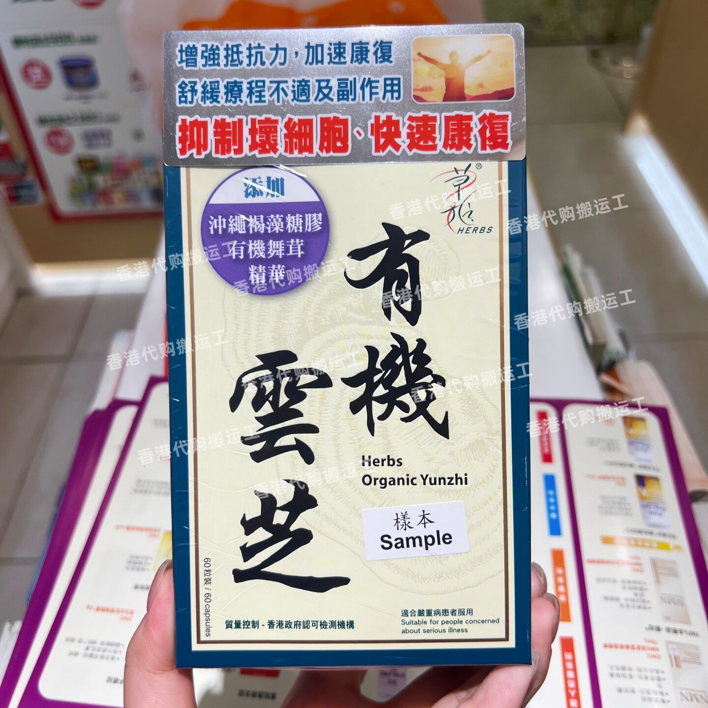草姬有机云芝胶囊增强抵抗力