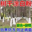 大树涂白剂园林专用石灰粉刷树干涂白粉果树防虫越冬防腐防冻杀菌