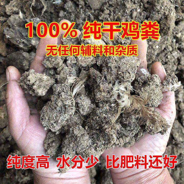 优质纯干鸡粪块农家有机