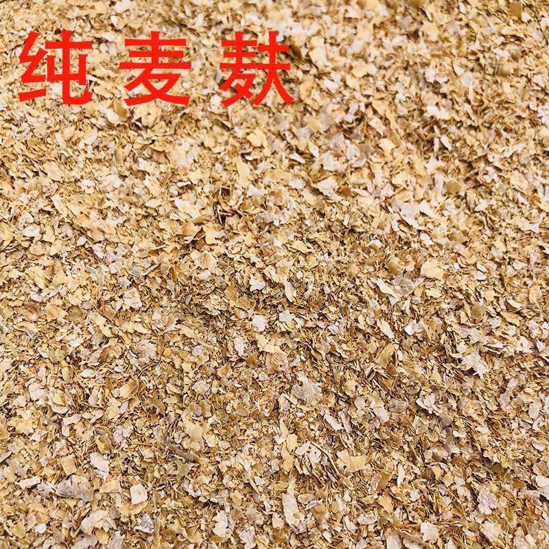 现打新鲜小麦麸皮饲料原料