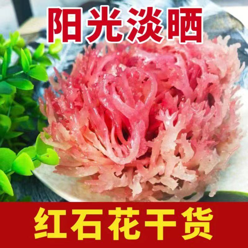 石花菜纯干石花菜珊瑚菜红珊瑚菜