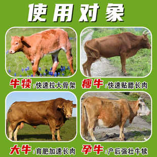 牛羊催肥增重饲料添加剂促生长育肥肉牛专用喜来胖大胖