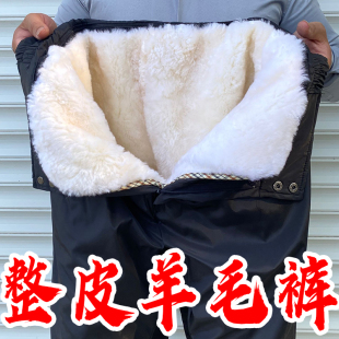 子100％羊皮毛一体内胆裤 中老年高腰羊皮毛棉裤 真皮毛防寒羊皮裤