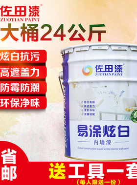 环保净味内墙漆 家用白色彩色墙面漆乳胶漆水性室内油漆涂料25kg