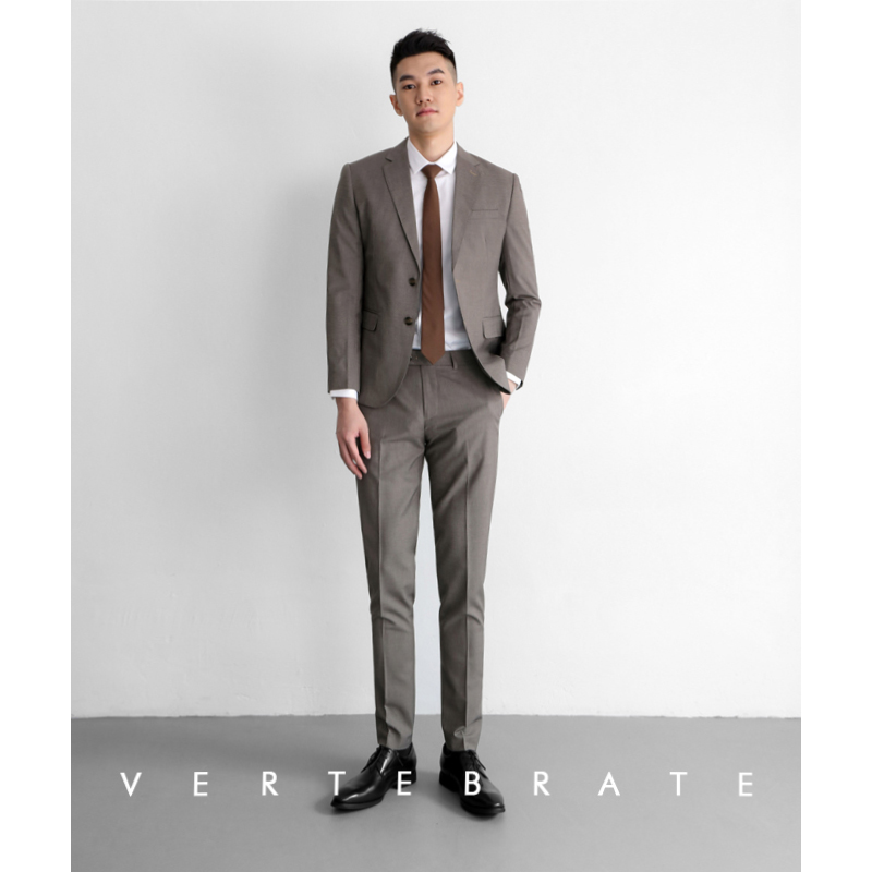 脊椎動物咖色商務男士西裝