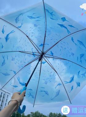 水族馆联名透明水母鲸鱼雨伞坚固抗风轻量高颜值学生长柄拍照女