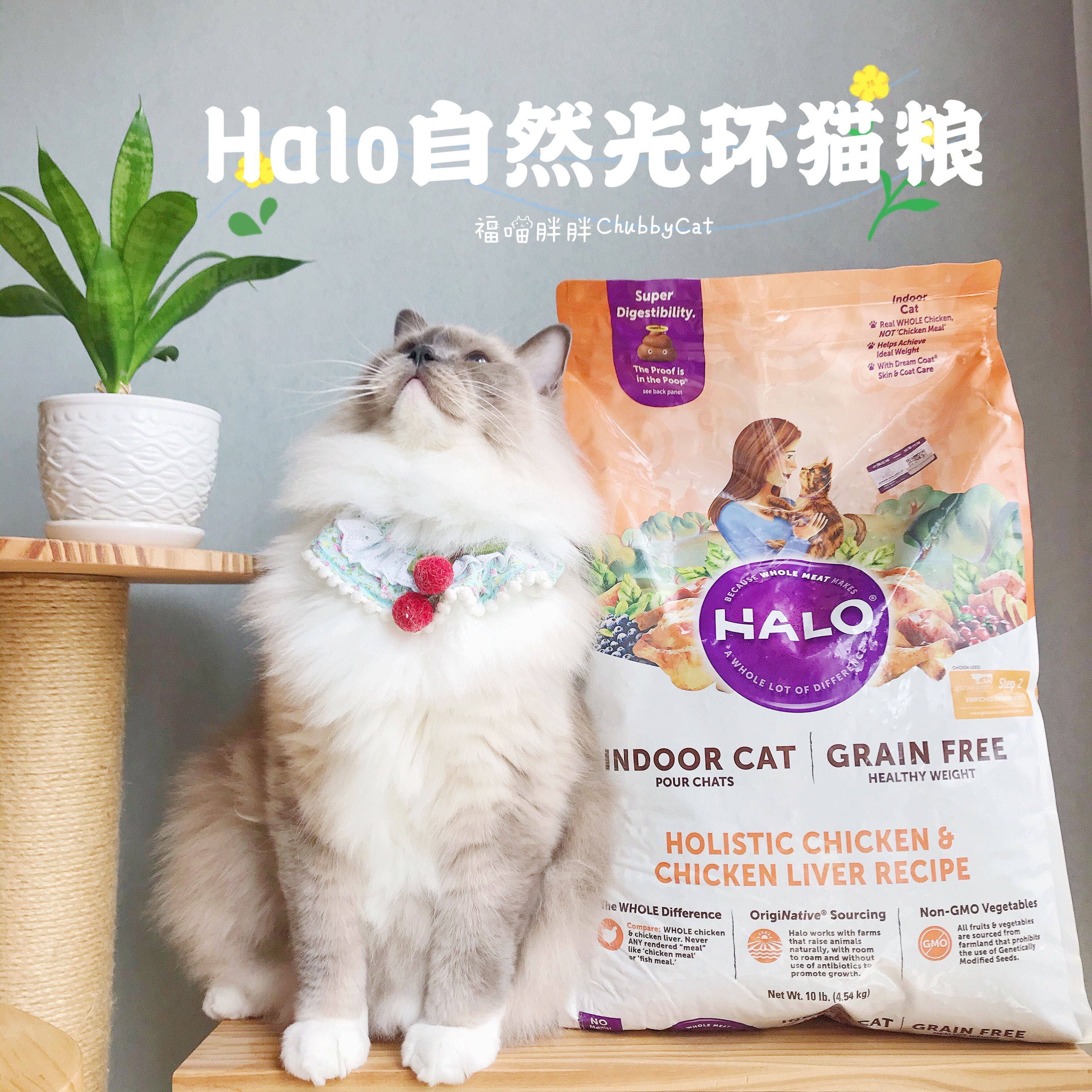 软便克星自然光环猫粮 美国原装进口鸡肉鱼肉健美成猫幼猫6磅10磅