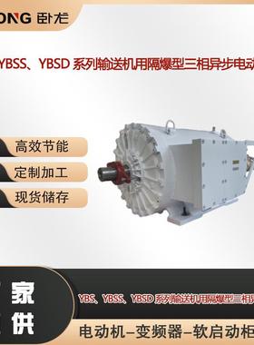 YBS、YBSS、YBSD系列输送机用隔爆型三相异步电动机