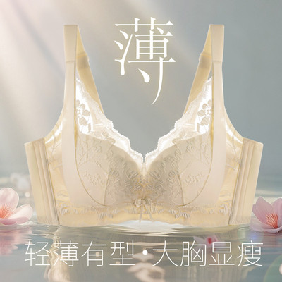 六月玫瑰【大胸显小 洞洞杯】薄款提拉防垂女士内衣收副乳文胸罩
