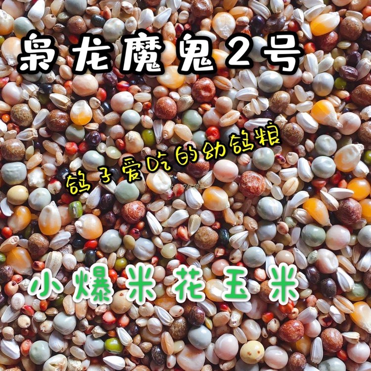 枭龙小爆米花玉米幼鸽育雏期信赛幼鸽子粮鸟食料50斤江浙沪皖包邮