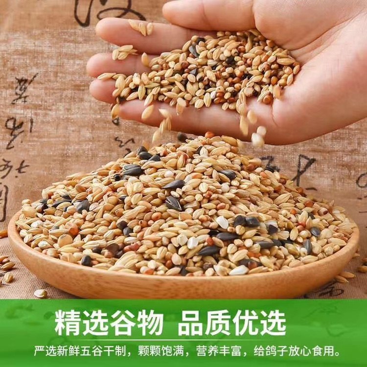 枭龙鸽业标准清除A2鸽粮换羽期鸟食饲料油葵稻谷45斤江浙沪皖包邮