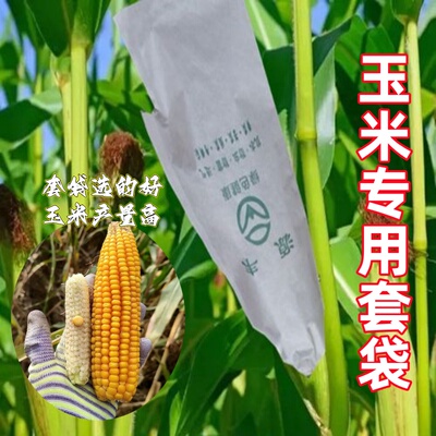 种玉米神器玉米防鼠套袋防虫防鸟