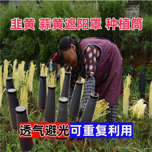 蒜黄遮阳罩韭黄种植神器家用筒阳