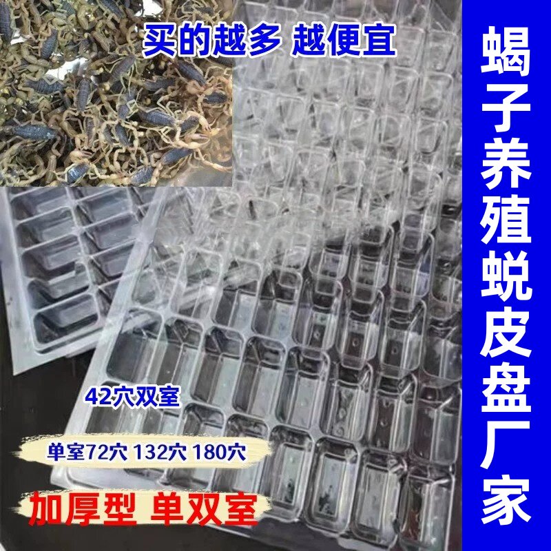 蝎子专用养殖盒工具单体72孔90孔