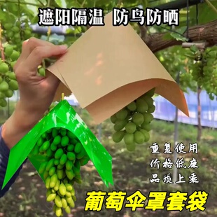 套葡萄专用袋子的纸伞罩妮娜皇后遮阳防日灼水鸟裂包帽套阳光玫瑰