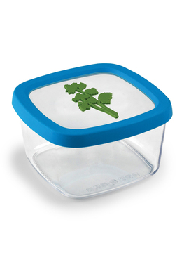 意大利snips食物密封盒食品保鲜盒通心粉储存盒米罐糖罐子北欧风