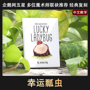 近景街头魔术道具 幸运瓢虫 成人初学者儿童简单高级震撼撩妹泡妞