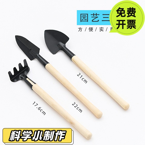 草头娃娃迷你花卉水培绿植摆件薄荷小盆栽室内好养负离子桌面SD34