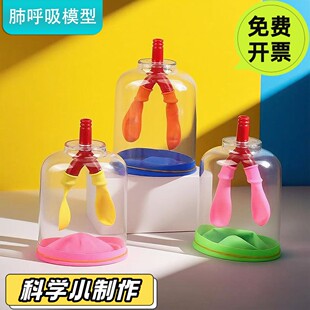领跑教具肺呼吸模型膈肌运动模拟器材料初中学生物实验教具科学实