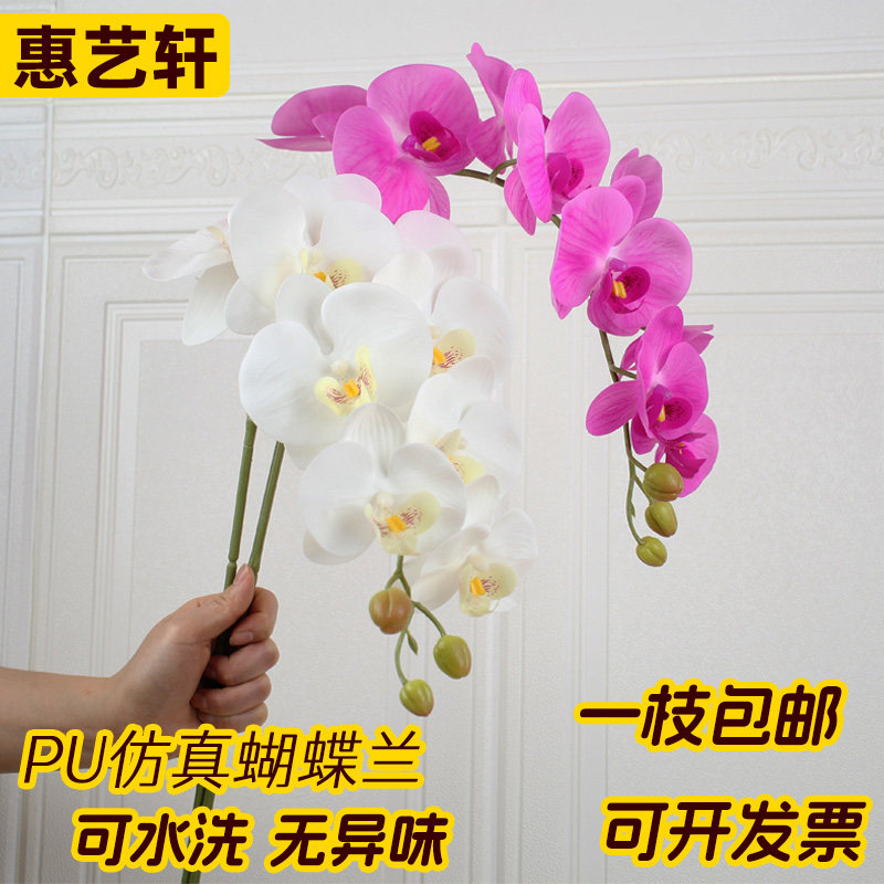 惠艺轩花艺 PU手感白色蝴蝶兰仿真花假花单枝室内摆件客厅装饰花