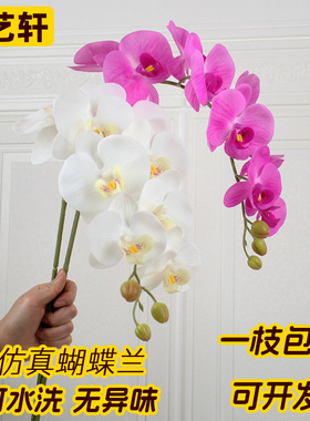 惠艺轩花艺 PU手感白色蝴蝶兰仿真花假花单枝室内摆件客厅装饰花