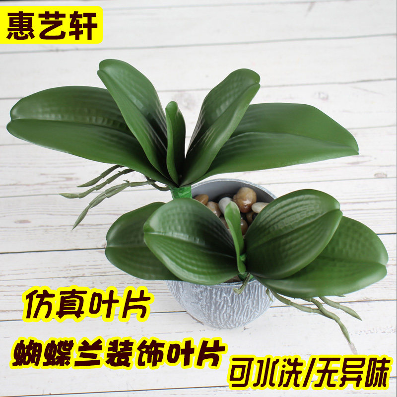 惠艺轩仿真蝴蝶兰叶子大支兰花叶片插花塑料配草绿植盆栽假叶装饰