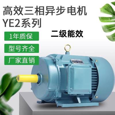 直供三相异步电动机YE4-315L-2200W2P(200千瓦2极)多型号