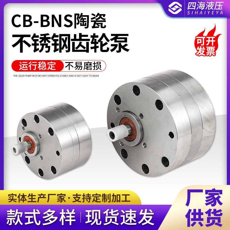 不锈钢齿轮泵CB-BNS25NS1063化工饲料食品用耐酸碱CBA-B16B200